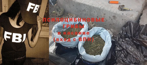 эйфоретик Богородицк
