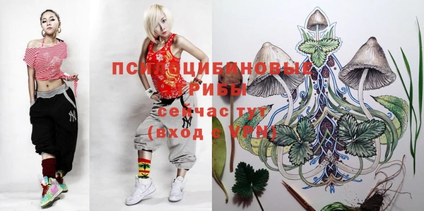 гашиш Богданович