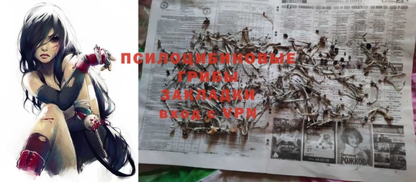 эйфоретик Богородицк