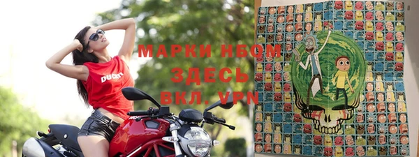 гашиш Богданович