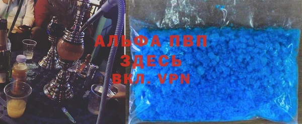 гашиш Богданович