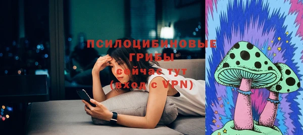 мдпв Богородск