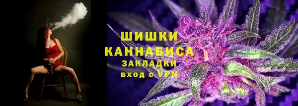 мдпв Богородск