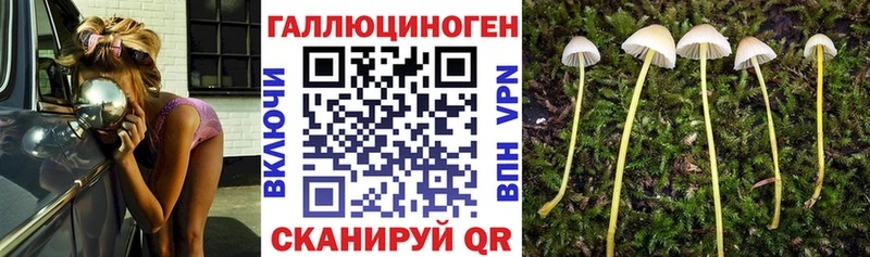 цены   Армавир  кракен сайт  Псилоцибиновые грибы прущие грибы 