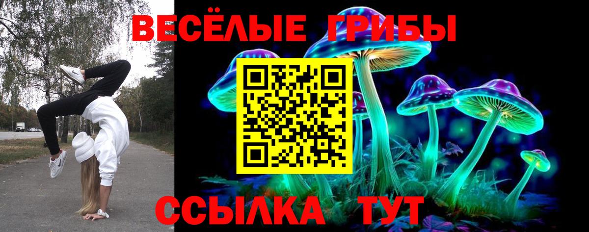 Галлюциногенные грибы Cubensis  Вход с VPN  Армавир 