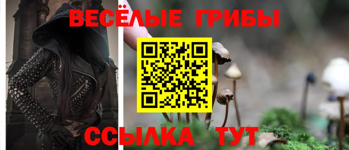 Псилоцибиновые грибы Psilocybe Армавир